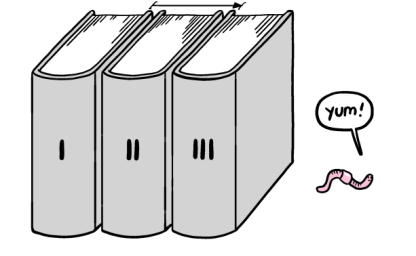 Mathmatical Bookworm