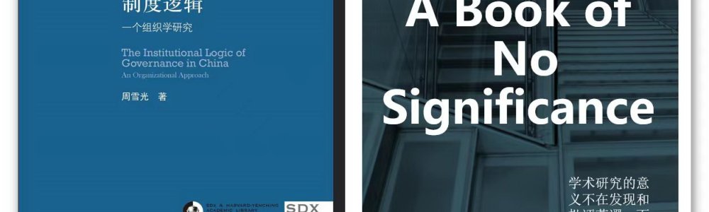 《中国国家治理的制度逻辑》