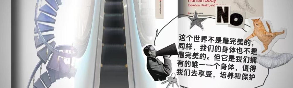 《人体的故事》